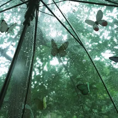 Profile image of 예엥