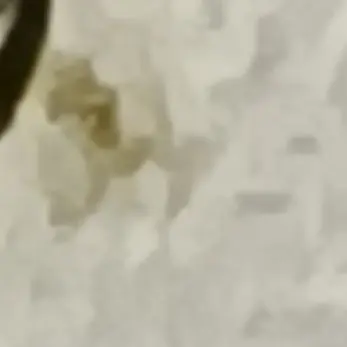 Profile image of 爲幾保良誕
