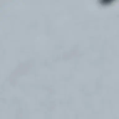 Profile image of 通行