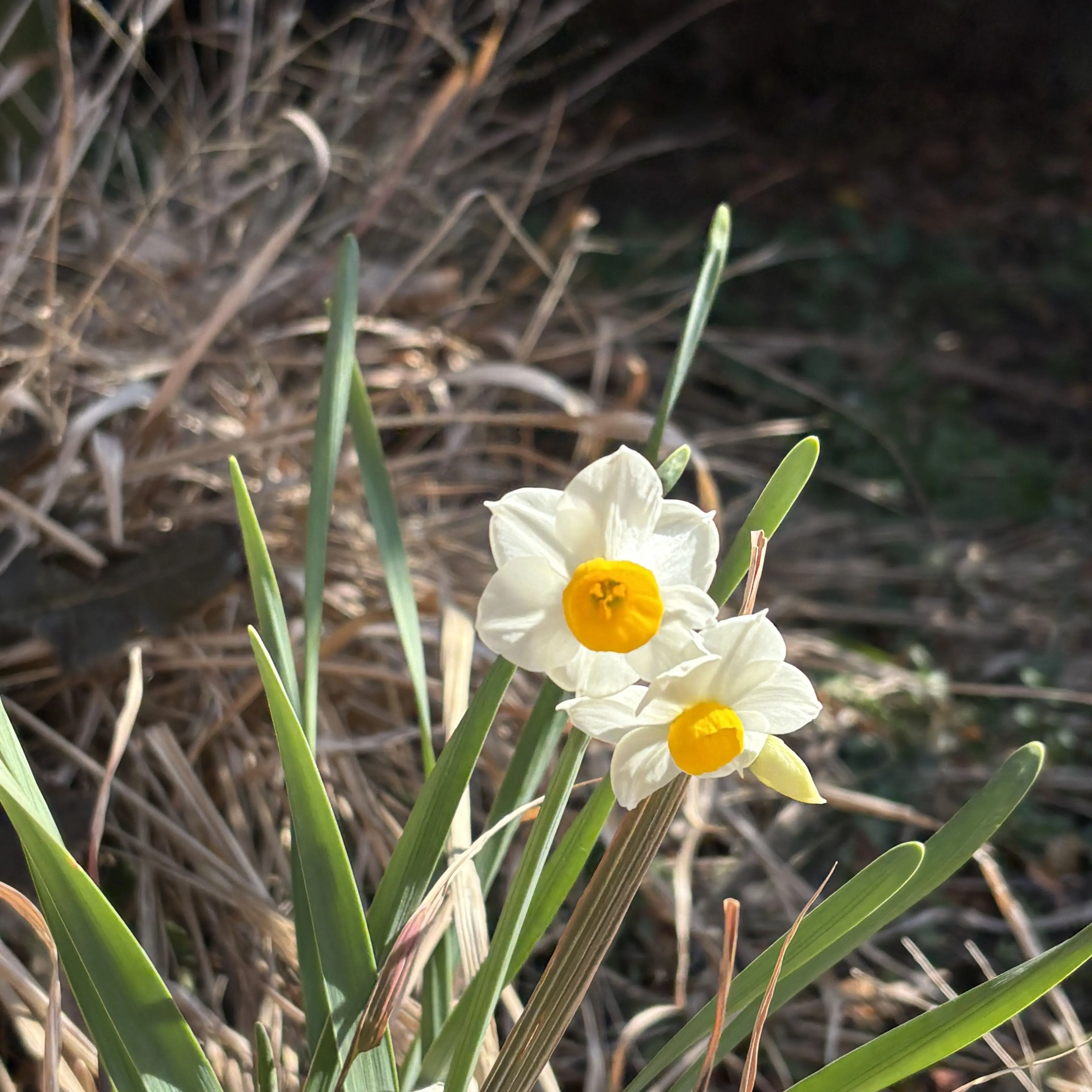 QuirkyPast0257의 승아