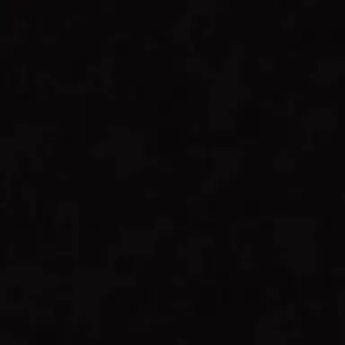 Profile image of 강영현