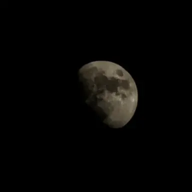 Profile image of 그랭구아르