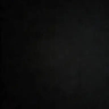 Profile image of 직원