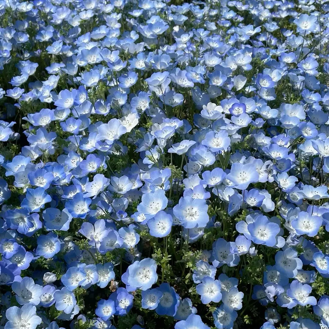 Daydream_0629의 君は好きにな〜る　好きにな〜る