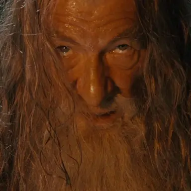 Profile image of Gandalf the white