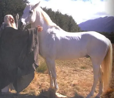 Profile image of Gandalf the white