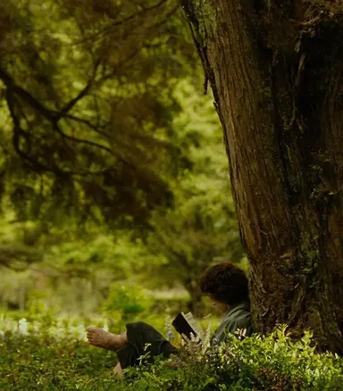 Profile image of Frodo