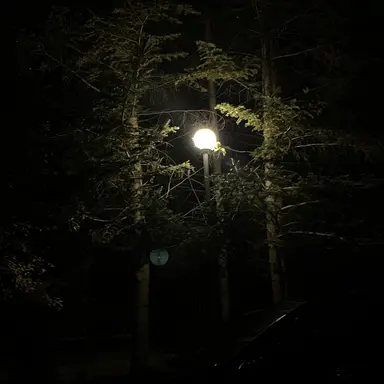 Profile image of 김지아