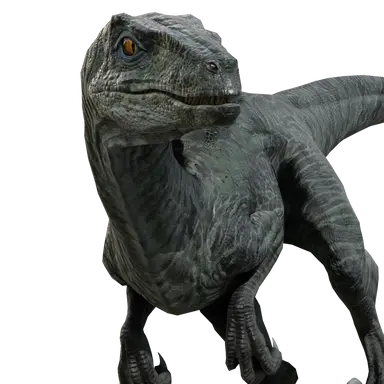Profile image of Delta
