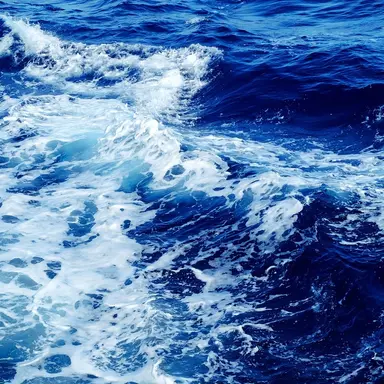 Profile image of 라그나르