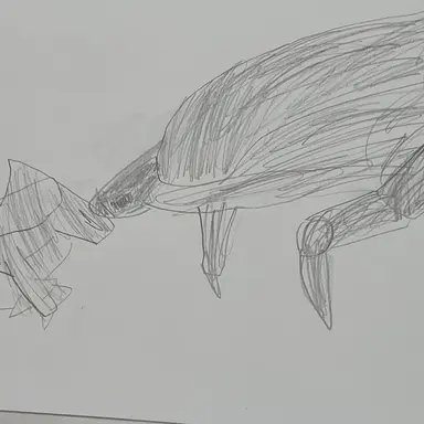 Profile image of 암컷 무토