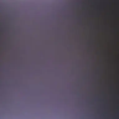 Profile image of 알렉스