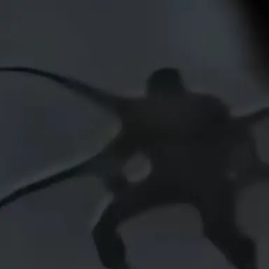 Profile image of ドクター・オクトパス