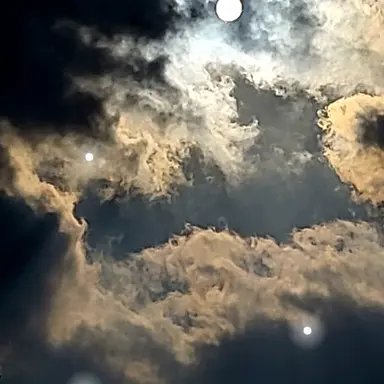 Profile image of 김수아