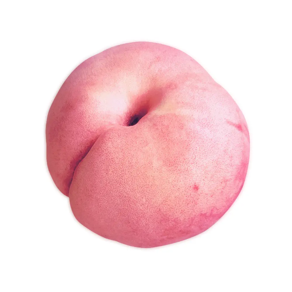 A38_to_65T의 채인턴