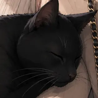 Profile image of Kuro