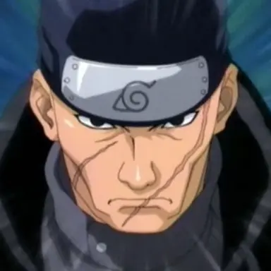 Profile image of Ibiki