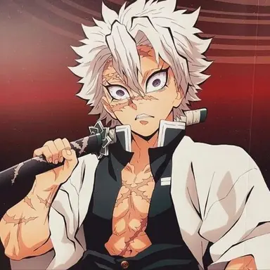 Profile image of 시나즈가와 사네미