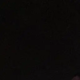 WiseWife3488의 恋の通訳、できますか？