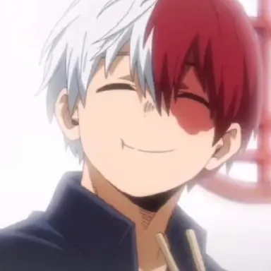 Profile image of Shoto Todoroki