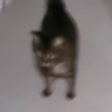 Profile image of 시스템