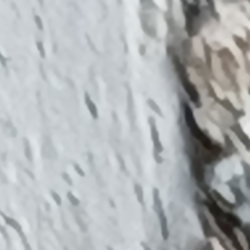 다메킹덤^^ 대표 이미지