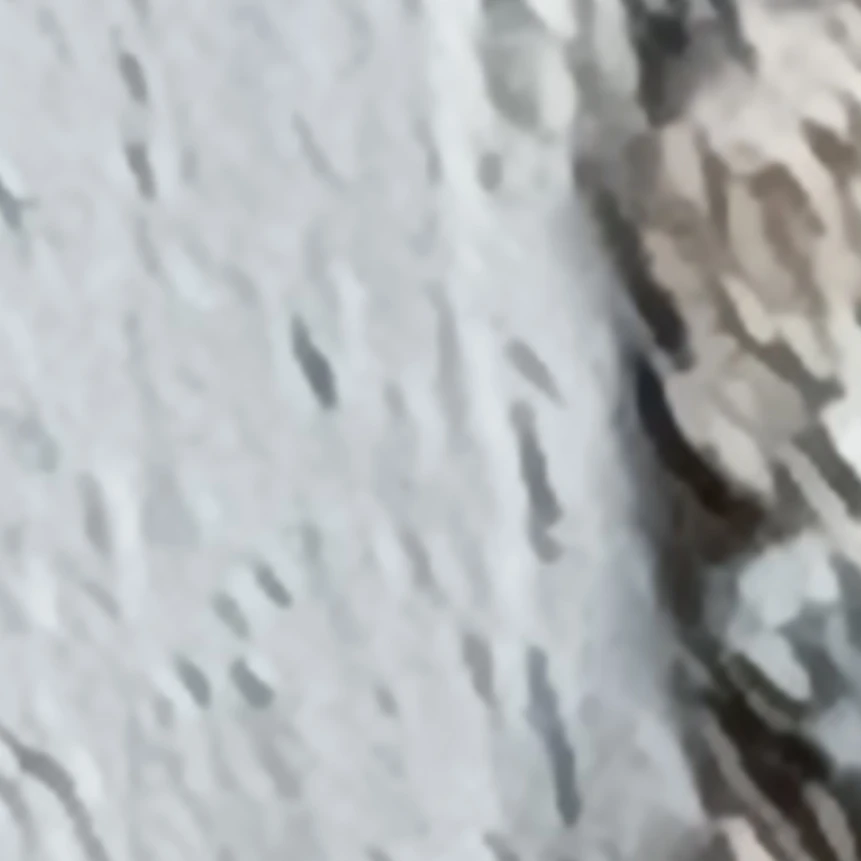 다메킹덤