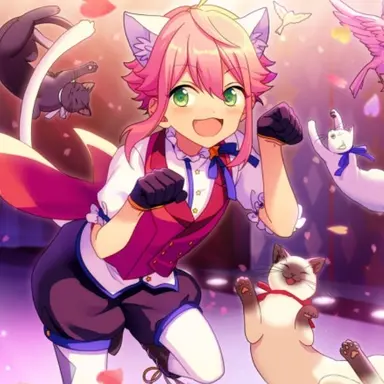 Profile image of Himemiya Tori