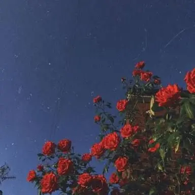 Profile image of 플래그