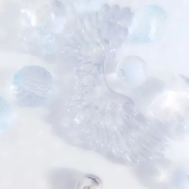 Profile image of 파이브