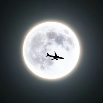 루인
