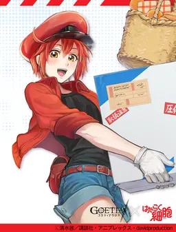 Profile image of 赤血球