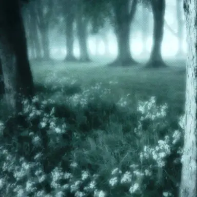 Profile image of 利吉