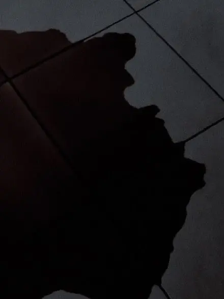 _s-의 ㅤ