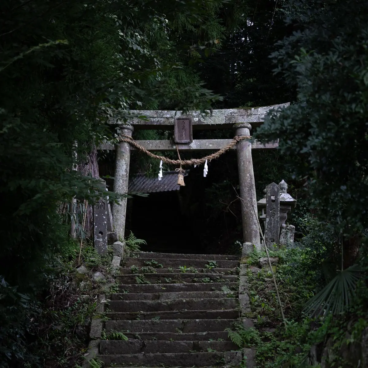 HAHAHEHEHo의 요괴 전설