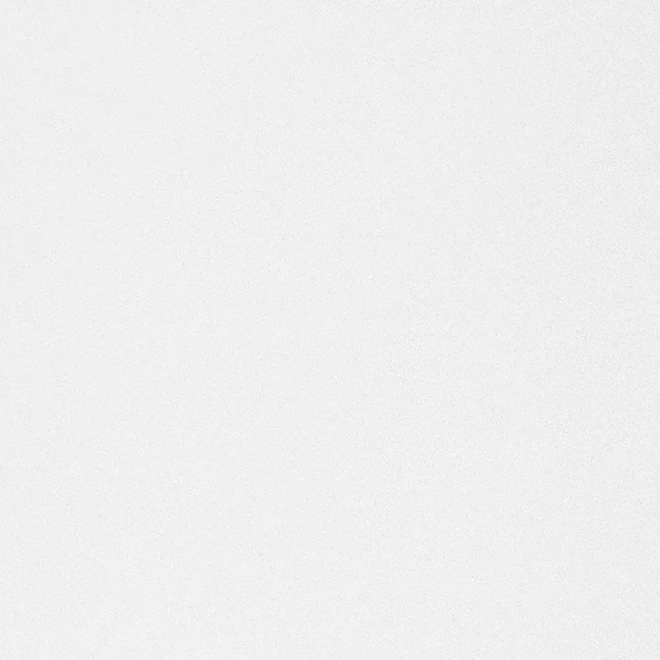 FloweR_MoOn25의 [ 픽셀리 새 멤버 ] - 개인용