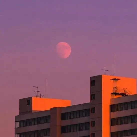 JustHat1867의 아이돌 팀나빠