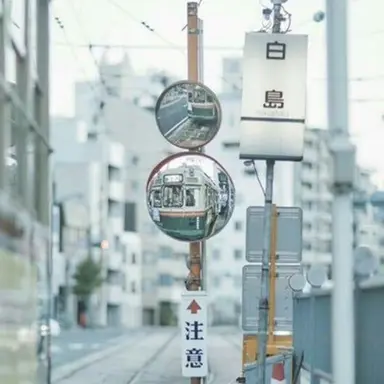 Profile image of 우유참치