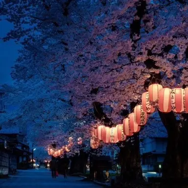 Profile image of 벨키