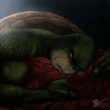 Profile image of Raphael