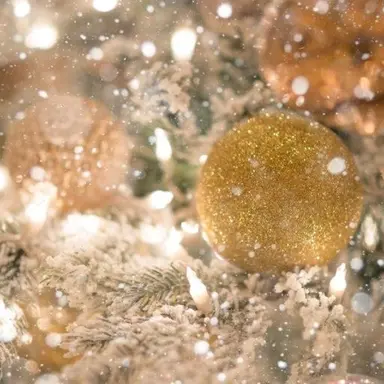 Profile image of 각별