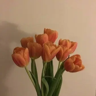 Profile image of 덕 경장