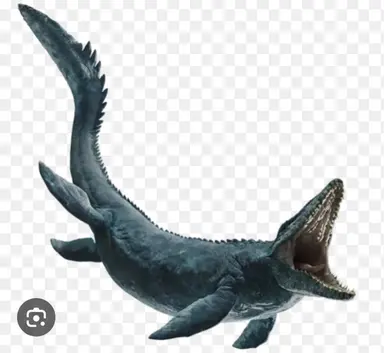 Profile image of モササウルス