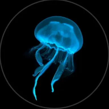 Profile image of 파크모