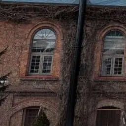 Profile image of 月島