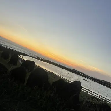 Profile image of 라더