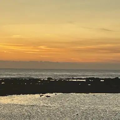 Profile image of 잠뜰