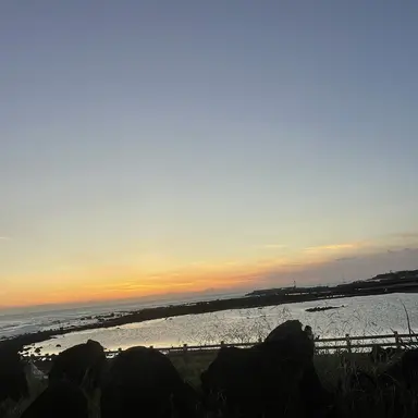 Profile image of 공룡