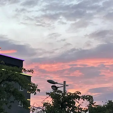 Profile image of 류