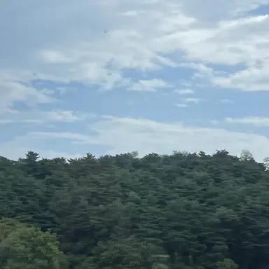 Profile image of 제미니